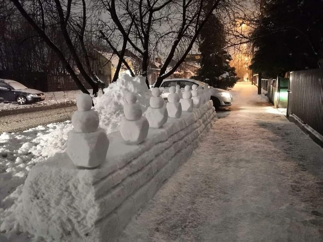 ужгородець, Ужгород, сніг, паркан, соцмережі