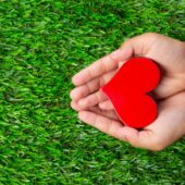 Ужгородці створили телеграм-чат для пошуку житла під час воєнного стану