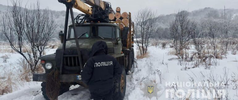 На Ужгородщині затримали вантажівку з нелегальною деревиною
