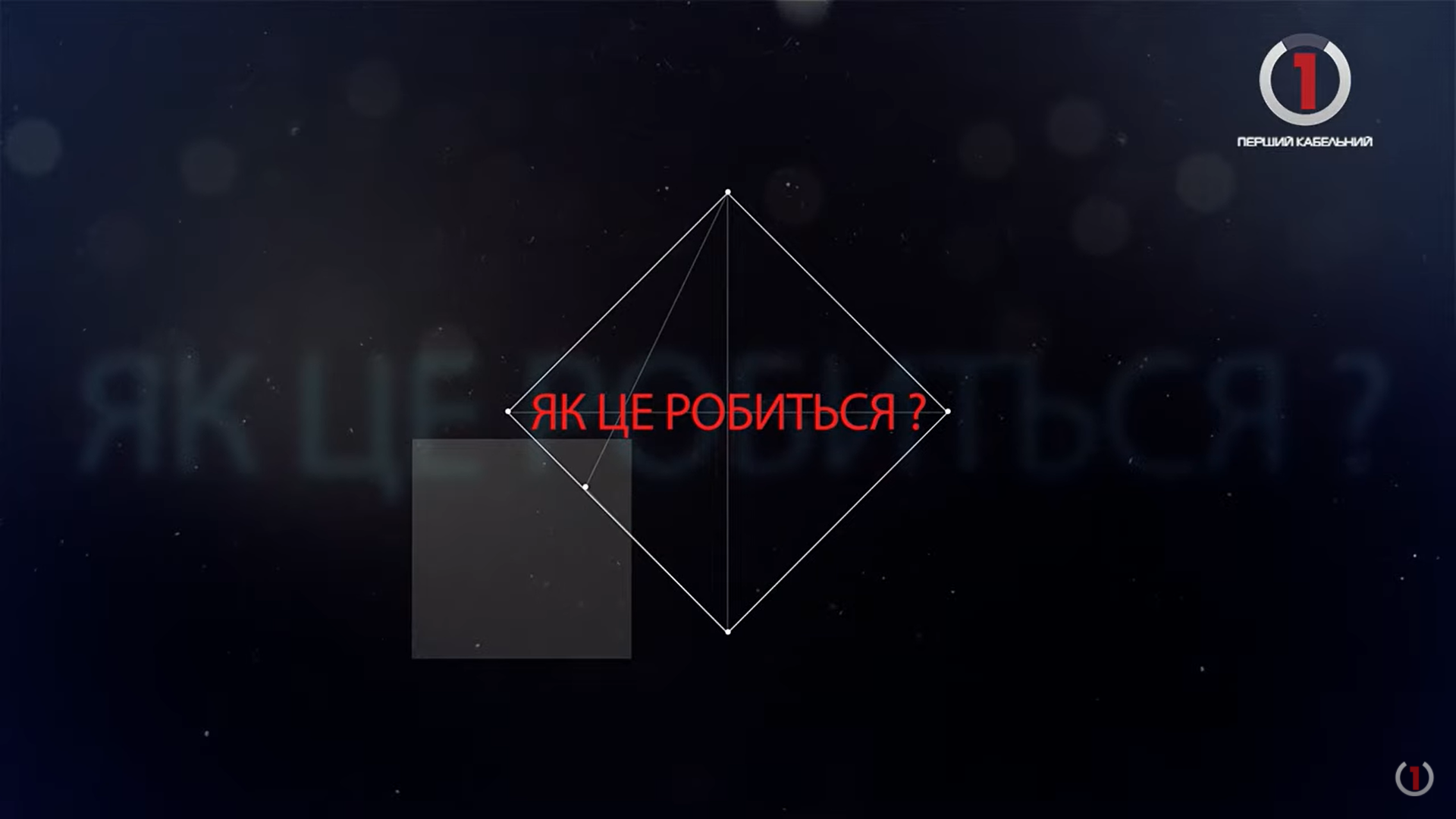 Як на Закарпатті вироблять корм для домашніх котів і собак (ВІДЕО)