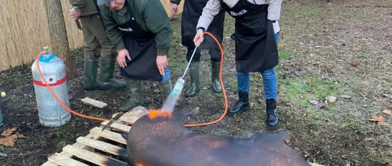Фестиваль різників: закарпатці здобули перемогу на масштабному фестивалі в Угорщині