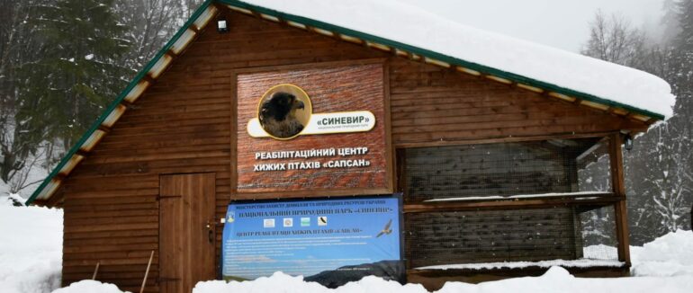 На Міжгірщині діє реабілітаційний центр хижих птахів