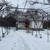 На Тячівщині трагічно загинули дві жінки