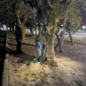 Цієї ночі невідомі намагалися захопити земельну ділянку в Ужгороді