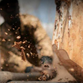 Завдали громаді понад 25 тис грн збитків: в Ужгороді на одній з вулиць порушники зрізали дерево