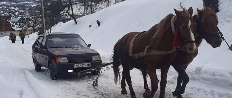 В Мукачівському районі коні витягали автомобіль, який забуксував