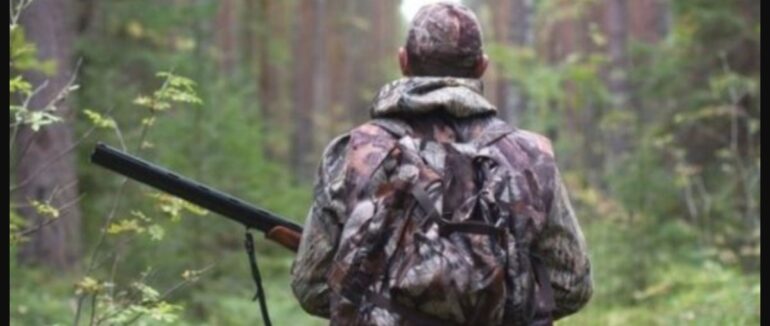 У Закарпатському лісі браконьєри застрелили самку благородного оленя