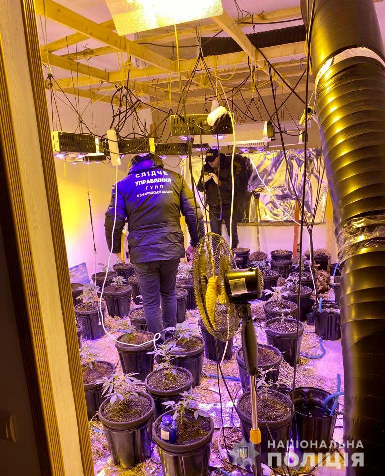 В Мукачівському районі виявили міні-нарколабораторію у місцевого жителя
