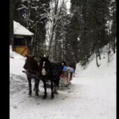 На засніженему Синевірі туристи розважаються “по-повній”
