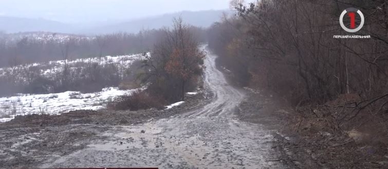 Відсутність дороги: жителі села Ділок “від щирої душі” вимагають ремонту автошляху (ВІДЕО)