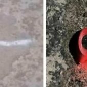 Важлива інформація: Кіберполіція створила спеціальний бот для повідомлень про виявлені мітки