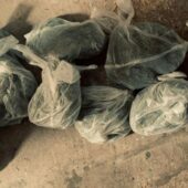 У Мукачеві повідомили про підозру 5 особам, що налагодили мережу збуту канабісу й метамфетаміну