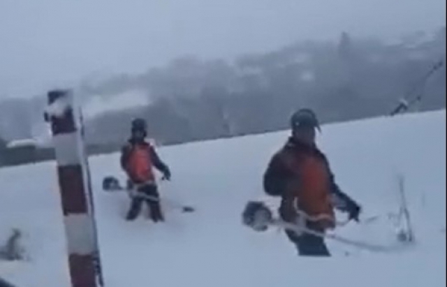 В “Укрзалізниці” розповіли чому на Закарпатті працівники косять посеред зими