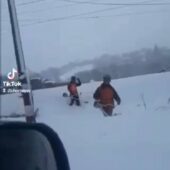 Курйозне відео: на Свалявщині чоловіки вирішили покосити траву взимку
