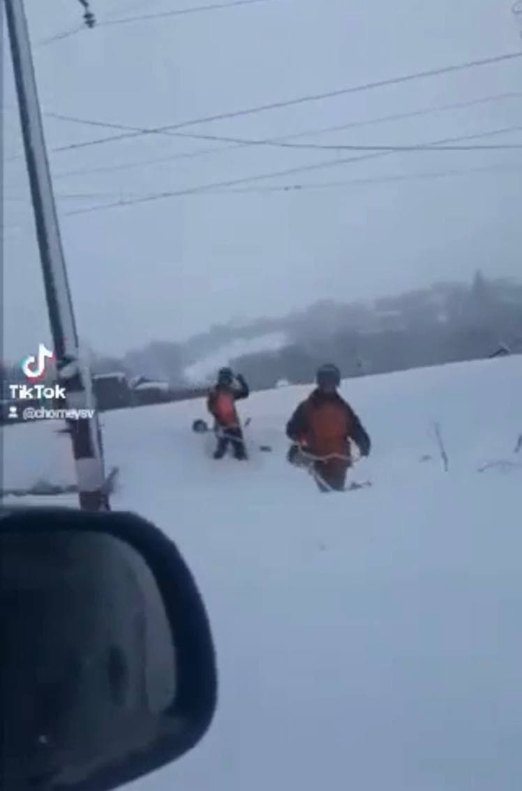 Курйозне відео: на Свалявщині чоловіки вирішили покосити траву взимку