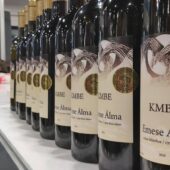 Угорські винороби Закарпаття визначили найкраще вино