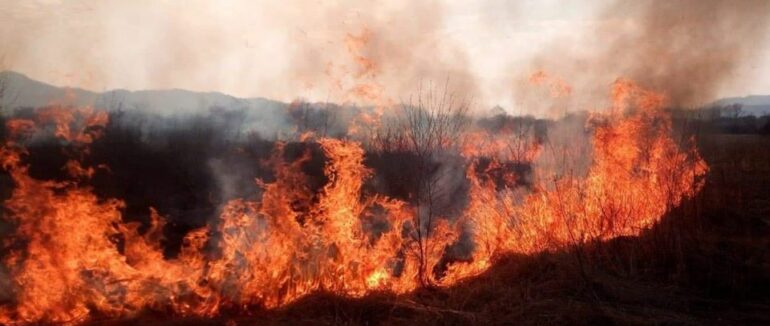 За минулу добу на Закарпатті зафіксували 56 випадків загорання сухостою
