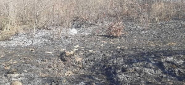 На Рахівщині трьох паліїв сухої трави притягнуто до відповідальності