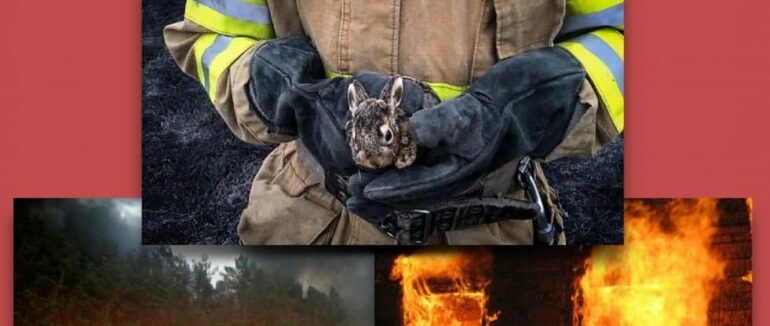 За спалювання сухостою можна отримати покарання довічне ув’язнення