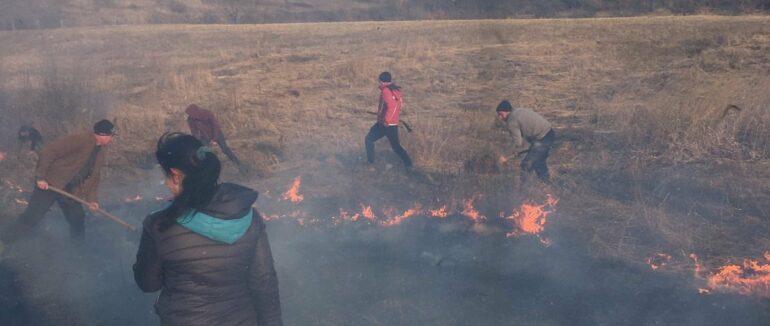 На Закарпатті 18 разів горіла суха трава за минулу добу