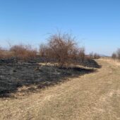 Майже 70 тисяч вартує один виїзд: закарпатські вогнеборці закликають не палити сухостій