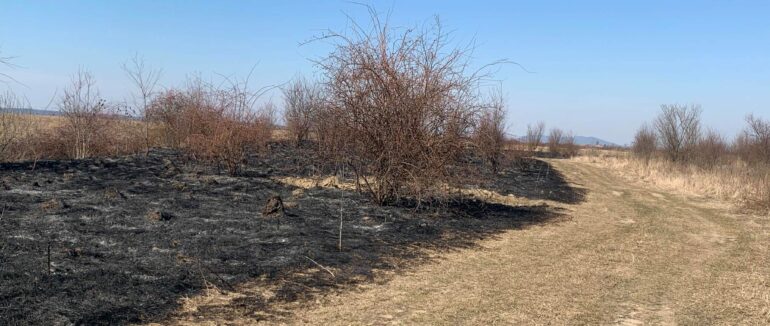 Майже 70 тисяч вартує один виїзд: закарпатські вогнеборці закликають не палити сухостій