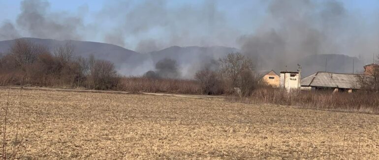 Стовпи диму видніються за десятки кілометрів: пожежа сухостою неподалік Мукачева