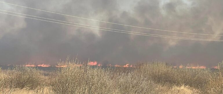 Масштабна пожежа: кілька десятків гектарів горить в Ужгородському районі