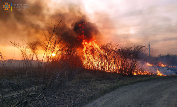 Масштабна пожежа у Берегові: згоріло 7 альтанок та надвірна споруда