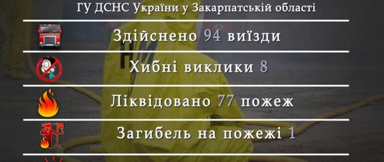 За добу на Закарпатті через підпали горіло 115 гектарів
