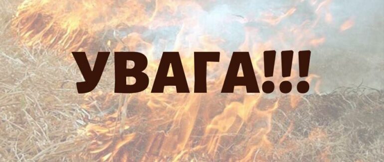 На Закарпатті в одній із громад обіцяють винагороду за спійманих паліїв