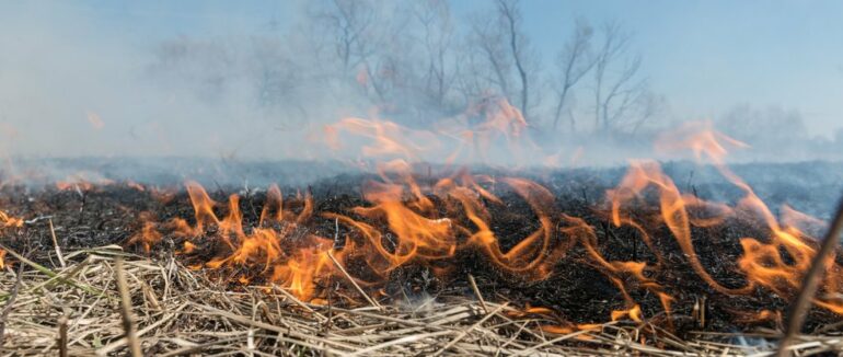 На Закарпатті під час спалювання трави загинув чоловік