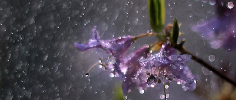 На Закарпатті різко зміниться погода: що варто очікувати