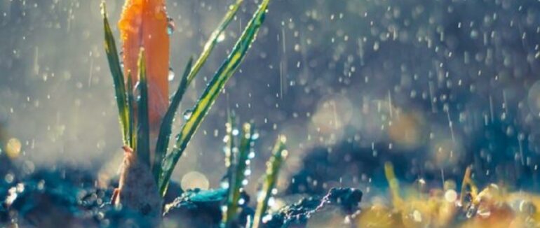 На Закарпаття насувається сильна негода: оголошено другий рівень небезпеки