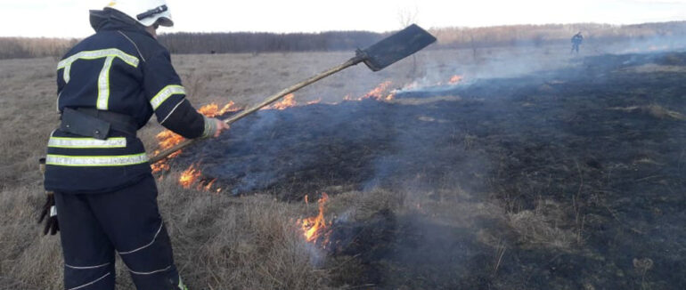 На Закарпатті за добу згоріли майже 113 гектарів сухої трави та чагарників
