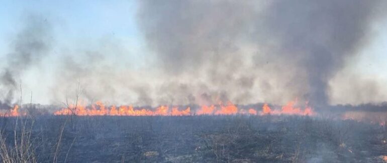 На Закарпатті за добу зафіксували 19 випадків загоряння сухої трави
