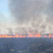 На Закарпатті сталися 55 загорань сухої трави та чагарників за добу