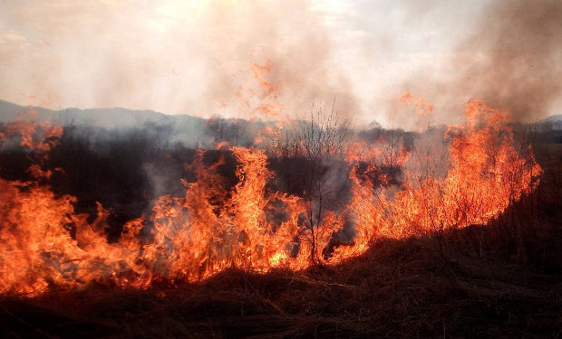 На Ужгородщині пенсіонерка отримала важкі опіки під час спалювання трави
