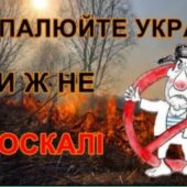 На Ужгородщині краяни ледь не спалили ліс
