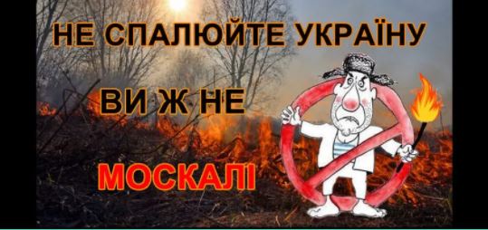 На Ужгородщині краяни ледь не спалили ліс