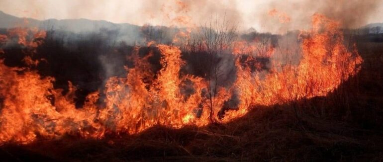 60 випадків загоряння сухої трави за добу зафіксували на Закарпатті