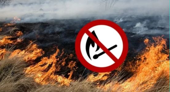 На Перечинщині оголосили премію у 3000 гривень за допомогу у викритті паліїв сухостою