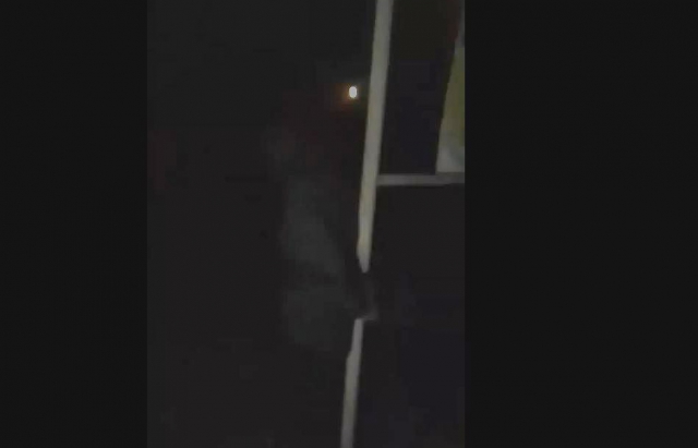 У Мукачівському районі палія трави примотали скотчем до знаку “Чинадієво”