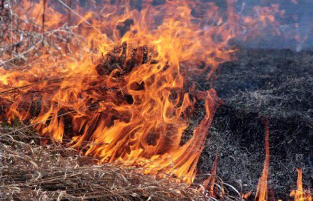 На Закарпатті під час спалювання сухостою жінка отримала опіки