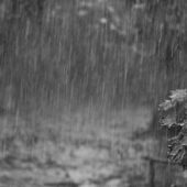 Метеорологічне та Гідрологічне: на Закарпатті оголошено два штормових попередження