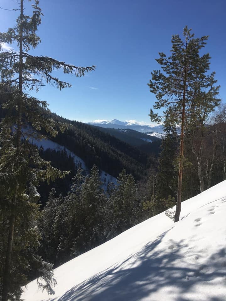 У горах Закарпаття випало 2 метри снігу