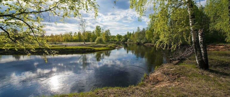 На Закарпатті упіймали браконьєра