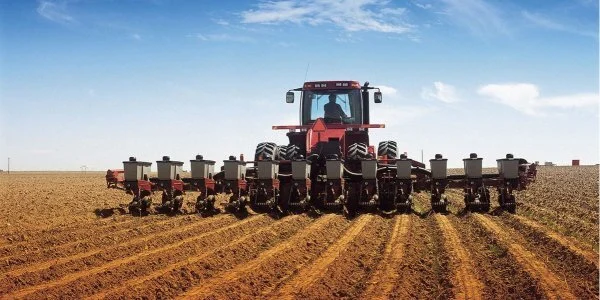 Проблема з насінням картоплі і сортозаміною: підсумки брифінгу управління фітосанітарної безпеки