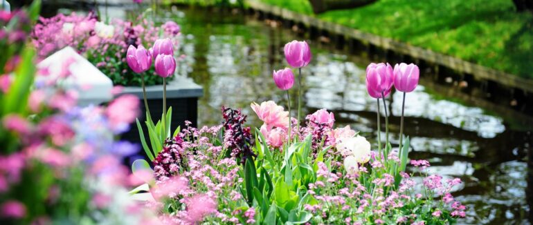 Синоптик розповіла, коли в Україні відчутно потепліє