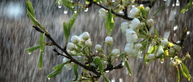 Травень 2022: синоптики дали прогноз